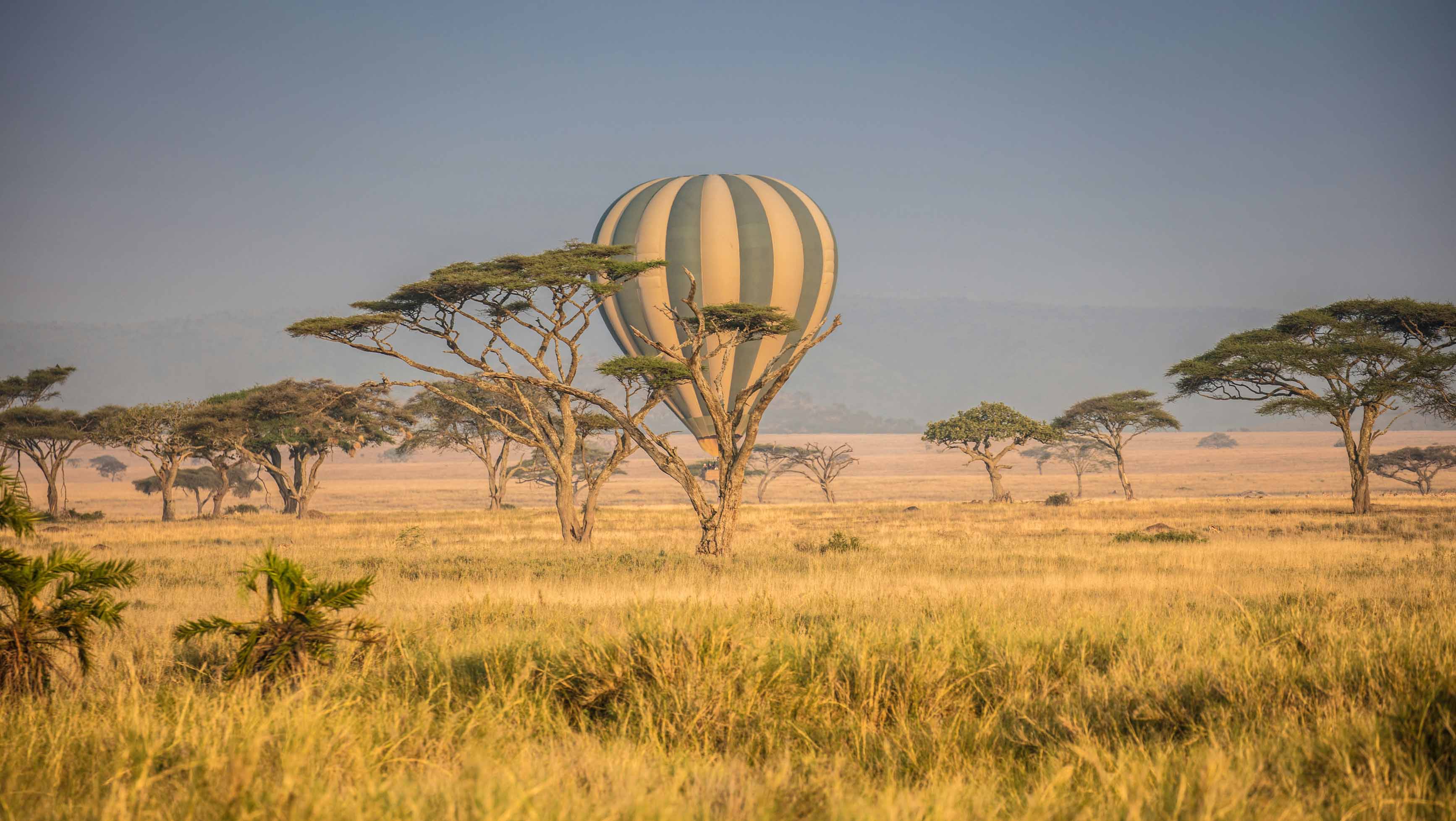 8-Day Luxury Serengeti Safari